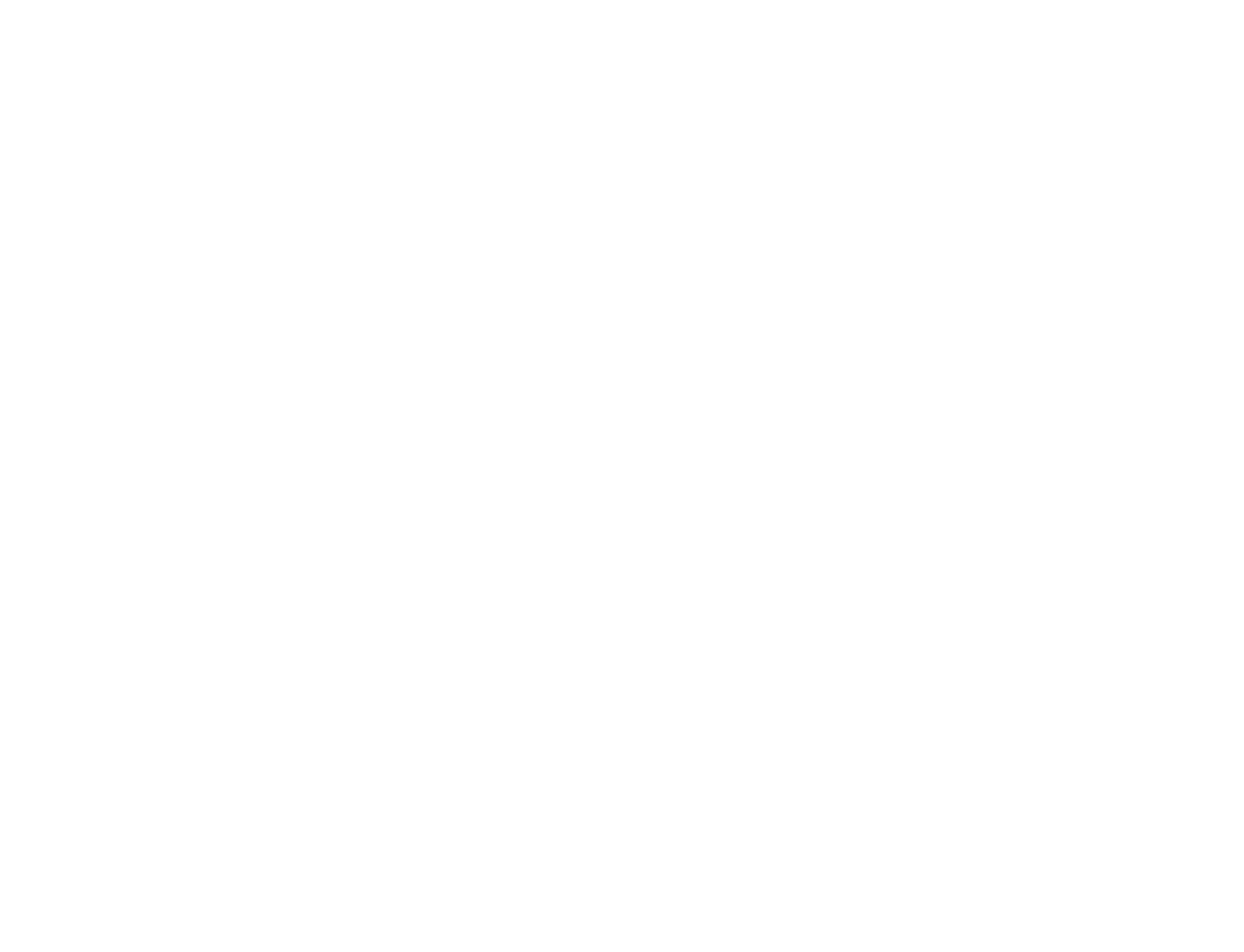 Logo SNAV